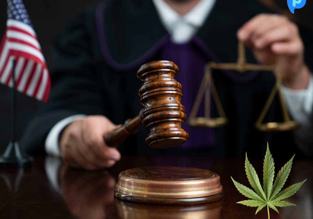 demystifying thc o- the cannabinoid